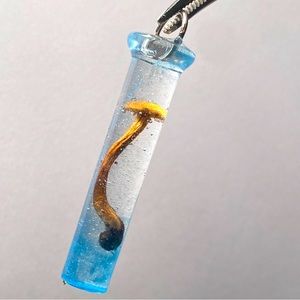 Wiggly Laccaria laccata in a resin crystal with mica powder embellishment